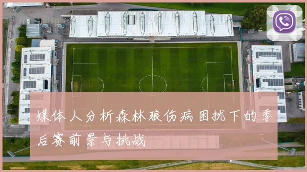 媒体人分析森林狼伤病困扰下的季后赛前景与挑战