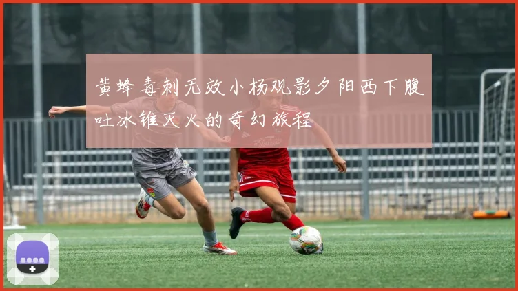黄蜂毒刺无效小杨观影夕阳西下腹吐冰锥灭火的奇幻旅程