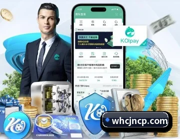 完美登录入口 APP 深度功能
